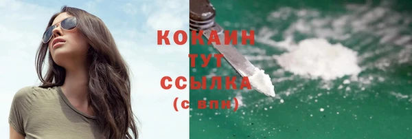 прущий лед Алексин